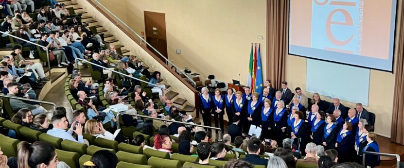 Institucional